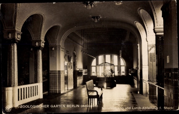 Ak Berlin Tiergarten, Zoologischer Garten, Aquarium, Mittelaufgang und Lurch-Abteilung