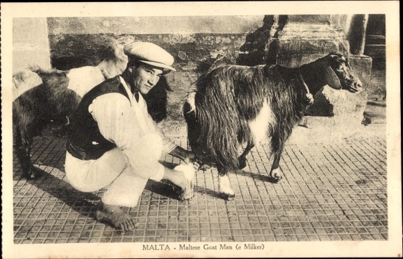 Postcard Malta, Maltese Goat Man, Milker, Goats