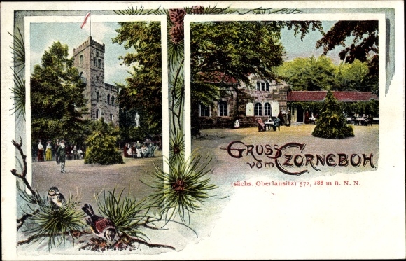 Postcard Cunewalde in Lusatia, Czorneboh, inn, owner Ernst Kalauch, observation tower