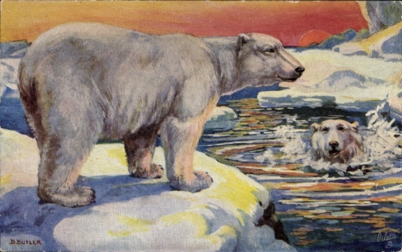 Artist Postcard Butler, B., Polar bears, ice floes