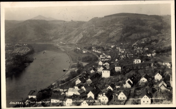 Ak Dolní Zálezly Salesel an der Elbe Reg. Aussig, Blick auf die Stadt und Dubitzer Kirchlein