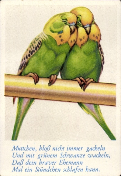 Collector's picture funny pictures No. 158, two budgies