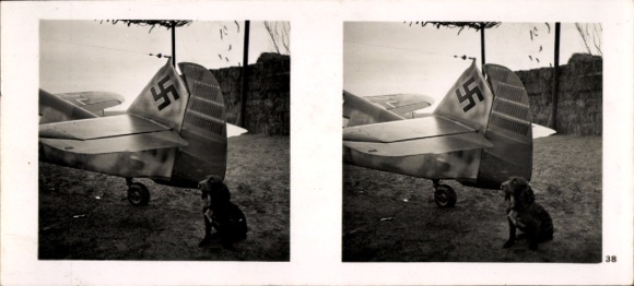 Stereo Raumbild Foto Fliegen und Siegen Nr. 39, Siegeszeichen am Leitwerk d. Jagdmaschine v. Mölders