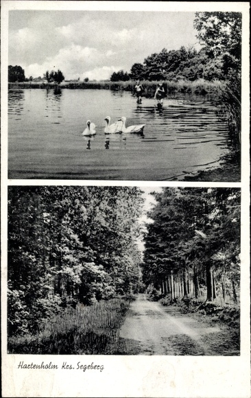 PC Hartenholm Schleswig Holstein, forest, lake