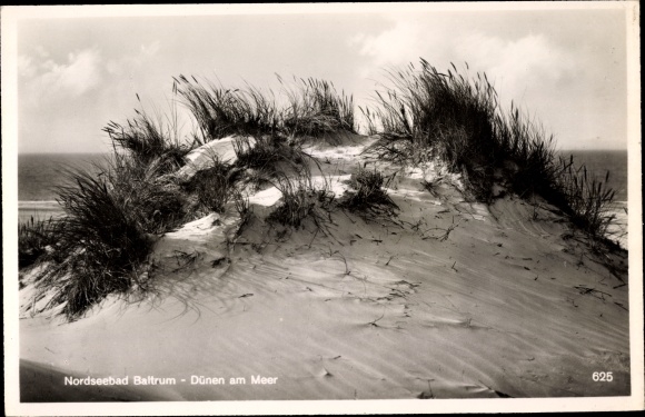 Ak Baltrum, strand, duinen aan zee