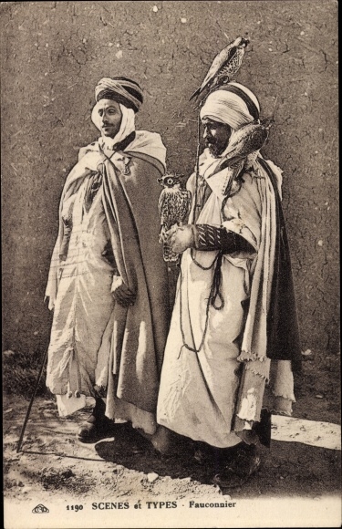 Postcard Touggourt Algeria, Falconer, Algerian Falconer