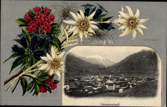 Embossed Passepartout Postcard Immenstadt im Allgäu Swabia, general view, flowers, edelweiss, gentian