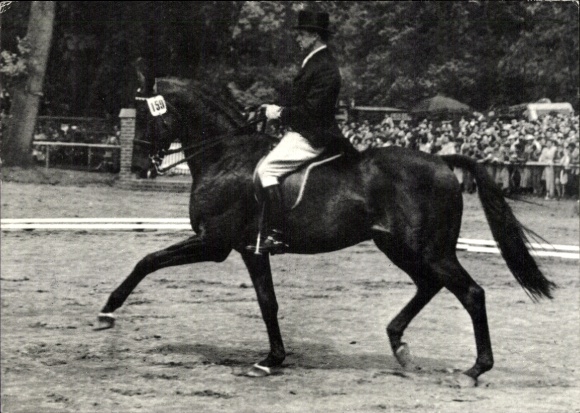 Ak Pferd Brilliant unter Willi Schultheis, Continental Farmer, Reklame