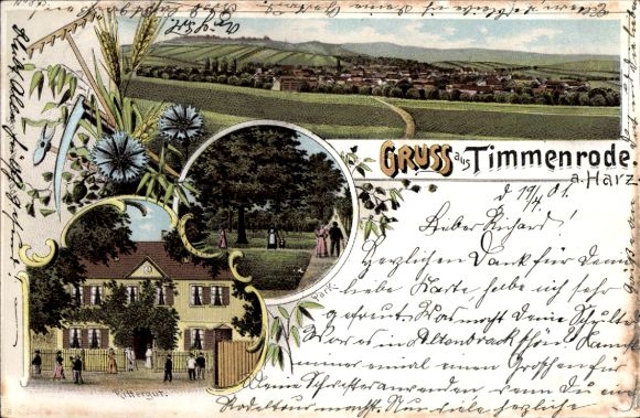 Chromo-Litho Timmenrode Blankenburg am Harz, general view, manor, park