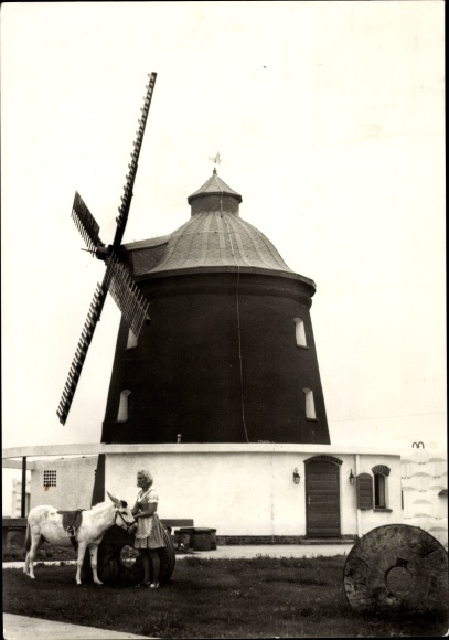 Ak Neustadt Halle an der Saale, HO Gaststätte Eselsmühle, Windmühle, Esel