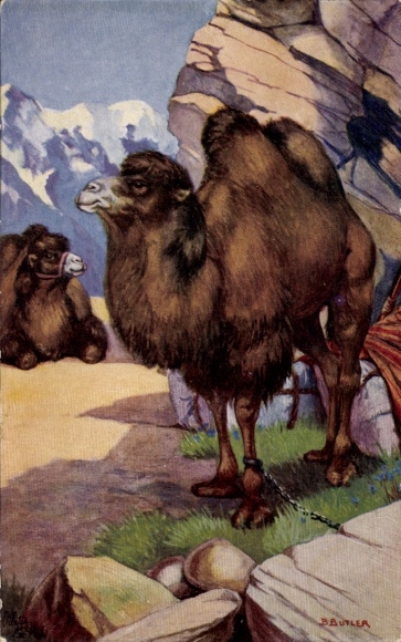 Artist PC Butler, B., camels