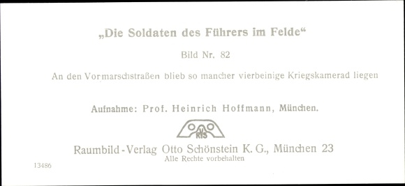 Stereo spatial image photo &quot;The soldiers of the leader in the field&quot;, No. 82, fallen horse, advance road