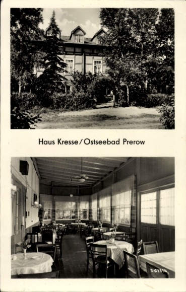 Ak Ostseebad Prerow auf dem Darß, Haus Kresse,  Gartenansicht, Speisesaal