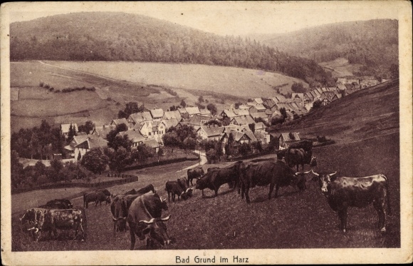 Ak Bad Grund im Harz, Totalansicht der Ortschaft, Rinder auf der Weide