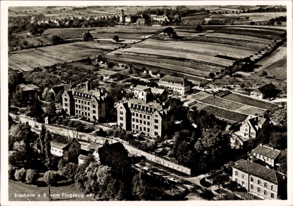 Postcard Sinsheim in Baden, aerial view of vineyards, buildings, rural surroundings