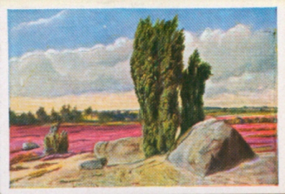 Sammelbild Die bunte Welt Album 1 Bild 82, Steinmal im Naturschutzpark der Lüneburger Heide