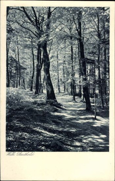 9 alte Künstler Ak Fotographien, diverse Motive