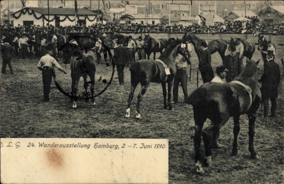 PC Hamburg, traveling exhibition, 1910, horses