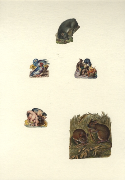 5 wafers pigs, mice, pigeons, approx. 7.5 x 7 cm to 3.5 x 4 cm