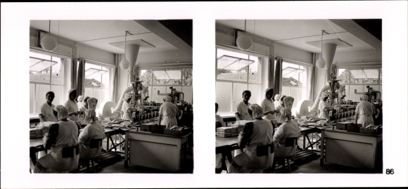 Stereo image photo &quot;The NS model farms 1937-38&quot; No. 86 Deutsche Milchwerke, Zwingenberg Bergstr