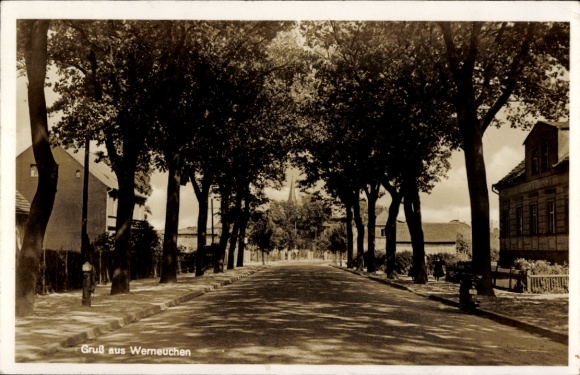 Postcard Werneuchen in the Barnim district, street section, trees
