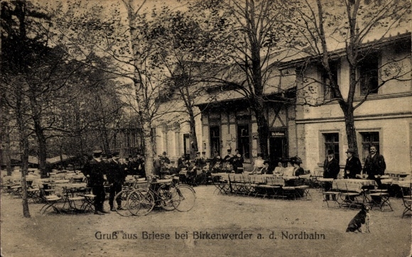 Ak Briese Birkenwerder im Kreis Oberhavel, Restaurant, Garten