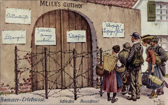 Artist Postcard Thiele, Arthur, hamster experiences, bad prospects, Meiers Gutshof, barbed wire
