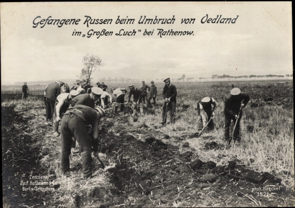 Ak Rathenow in Havelland, Russische krijgsgevangenen in de onrust van Öedland, Großer Luch