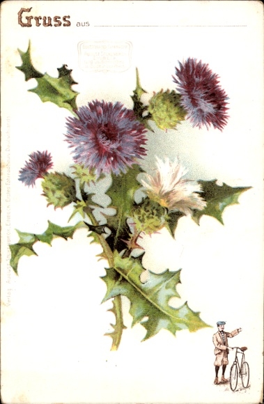 Chromo-Litho Distel, advertising, Teutonia-Pneumatic, bicycle