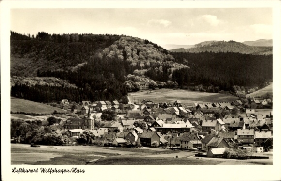 Ak Wolfshagen Langelsheim am Harz, Gesamtansicht