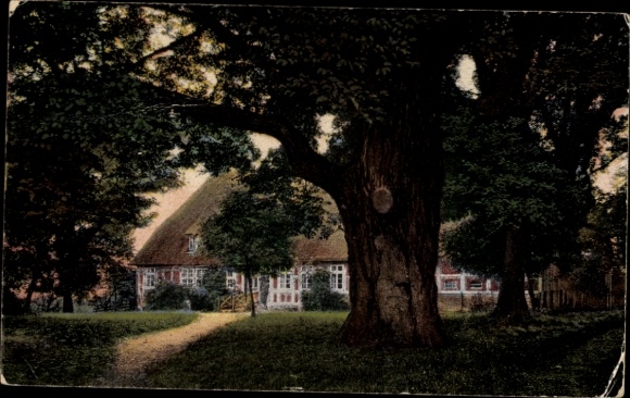 Ak Pfarrhaus in der Heide, Reetdach