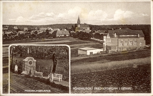 Ak Friedrichsbrunn Thale im Harz, Gesamtansicht, Friedrichsbrunnen