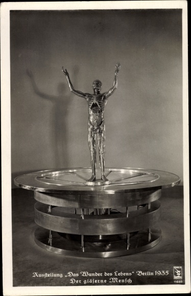 Postcard Exhibition The Miracle of Life, Berlin 1935, The Glass Man