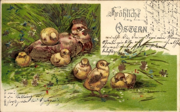 Embossed PC Congratulations Easter, chicks