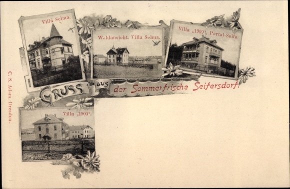 Postcard Seifersdorf Wachau Sachsen, Villa Selma, forest view, portal side
