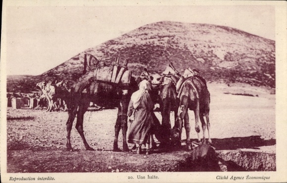 CPA Libanaise, Une halte, camels