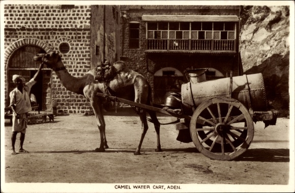 Postcard Aden Yemen, Camel Water Cart