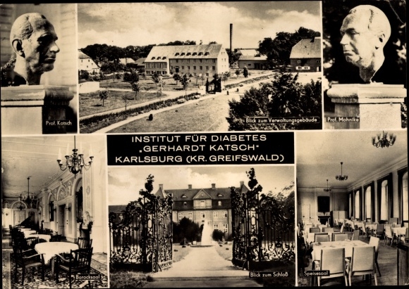 Postcard Karlsburg in Western Pomerania, Institute for Diabetes Gerhardt Katsch, busts of the professors, castle