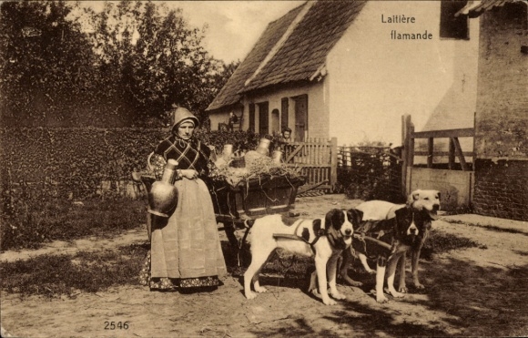Ak Milchfrau mit Milchkarren, Hundekarren, Arbeitshund