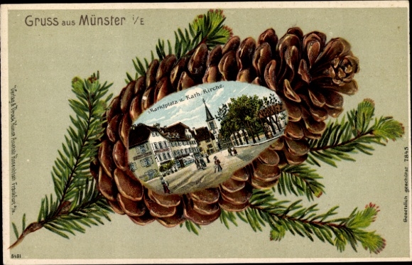 Pine cone litho Munster Münster Alsace Haut Rhin, market square, church