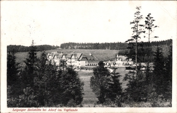 Ak Adorf im Vogtland, Blick zur Leipziger Heilstätte, Fernansicht, Wald, Wiese