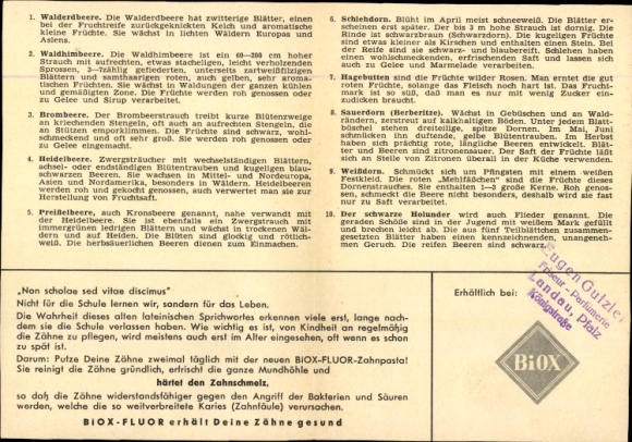 Timetable BIOX fluoride toothpaste. Dental care, wild berries, rose hips, raspberries around 1950