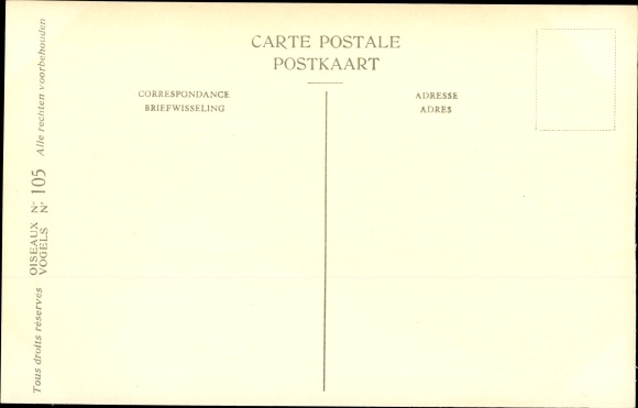 Artist Postcard Dupond, Hub., Buteo Buteo, common buzzard
