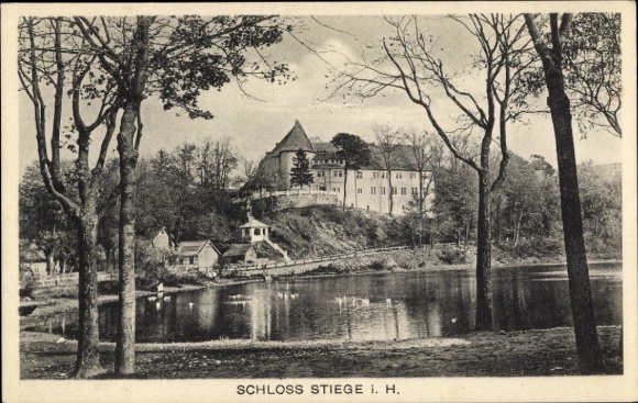 Ak Stiege Oberharz am Brocken, kasteel, vijver