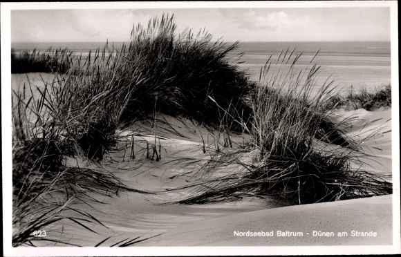 Ak Baltrum, duinen op het strand