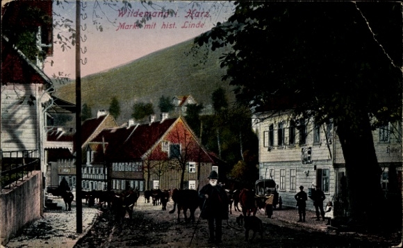 PC Wildemann Clausthal Zellerfeld in the Upper Harz, market, linden tree, passers-by