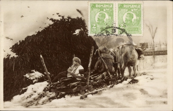 Postcard Romania, woman in traditional costume on a cattle sleigh