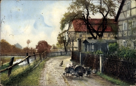 PC Nenke & Ostermaier Series 63 No. 1747, autumn study, village motif, Rochwitz near Dresden