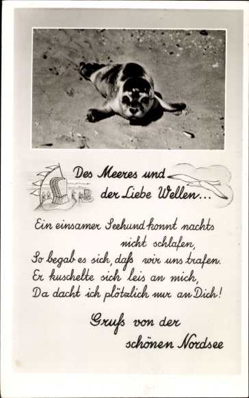 Postcard North Sea Germany, seal on the beach, waves of the sea and love