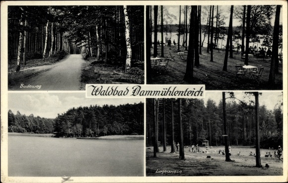 Ak Dahlen in Sachsen, Waldbad Dammühlenteich, Liegewiese